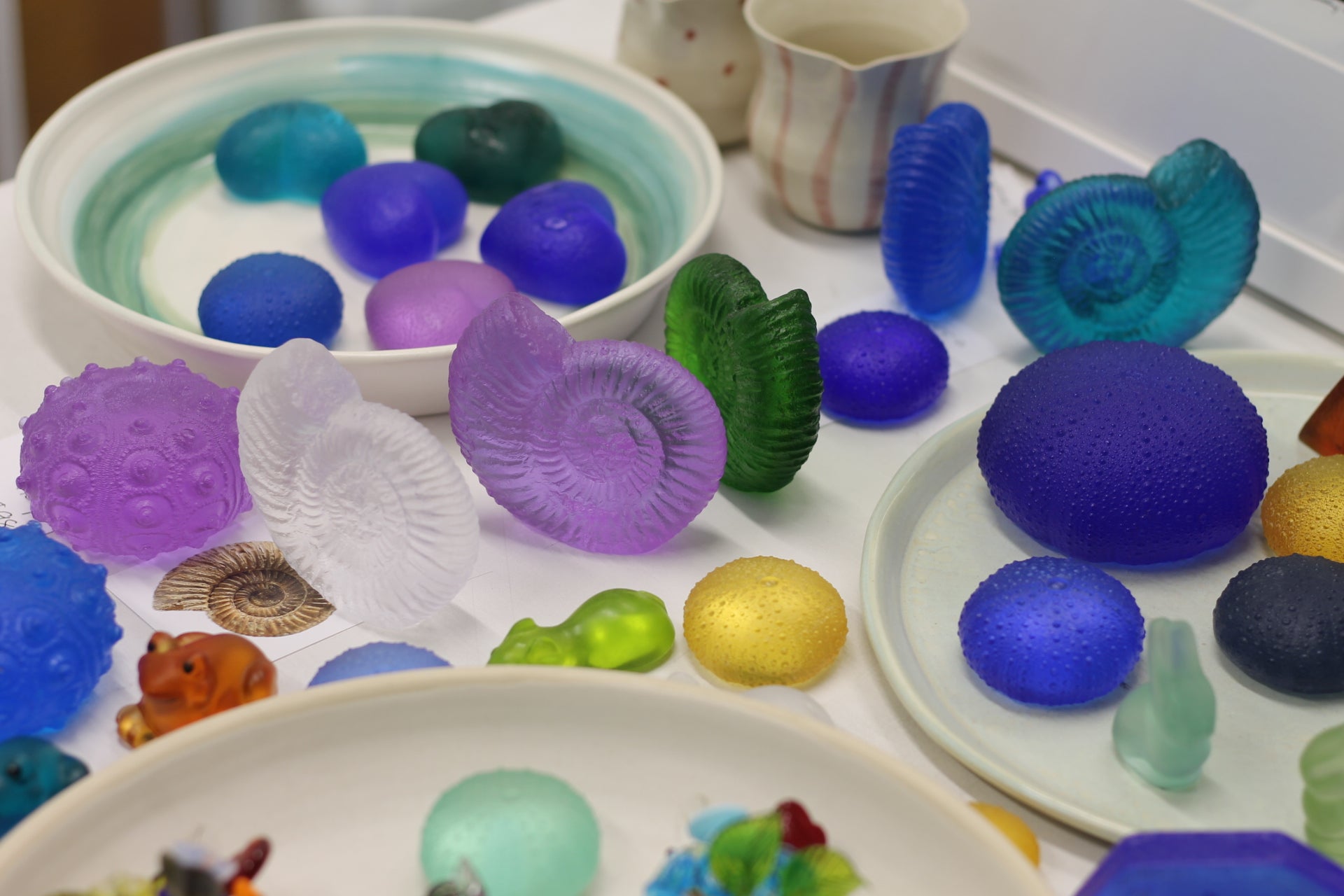 Ammonite by Rebecca Heap-6