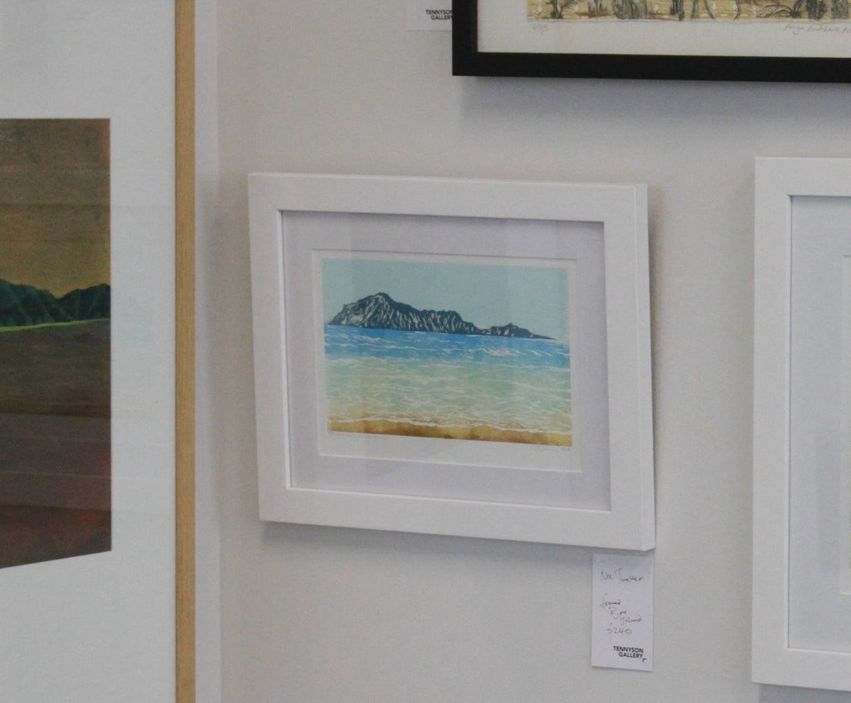 Framed Bare Island by Nic Tucker-2