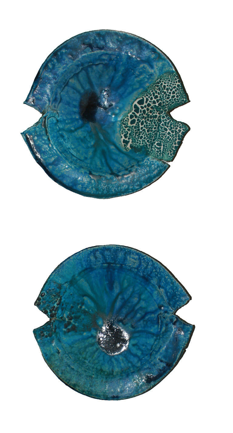 Hanging Lagoon Dish by Gaeleen Morley-2