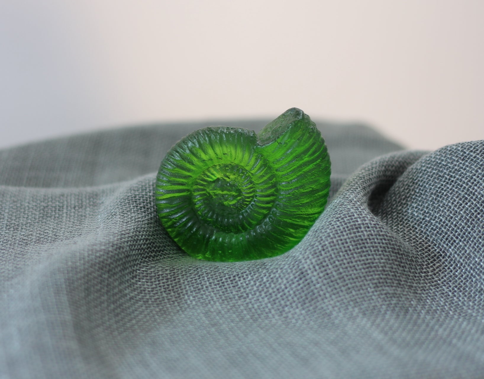 Ammonite by Rebecca Heap-2
