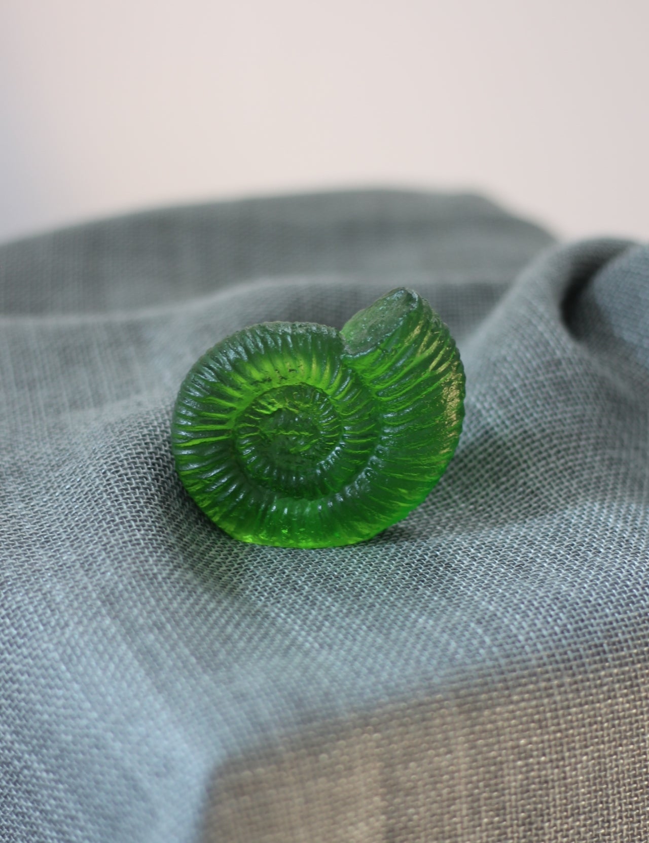Ammonite by Rebecca Heap-4