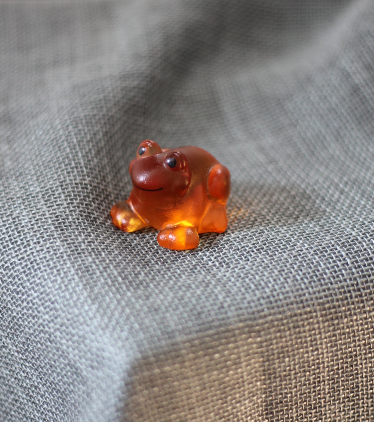 Glass Frog by Rebecca Heap