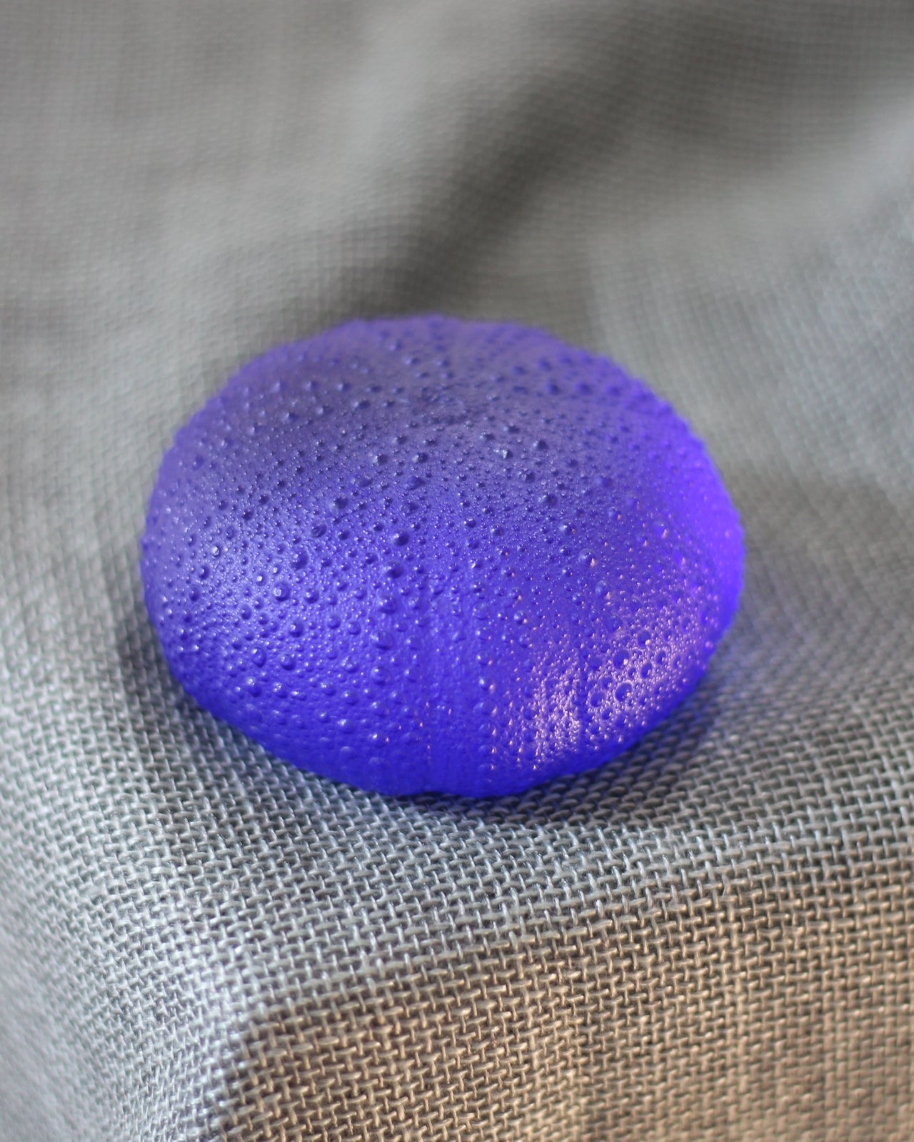 Sea Urchin by Rebecca Heap-2