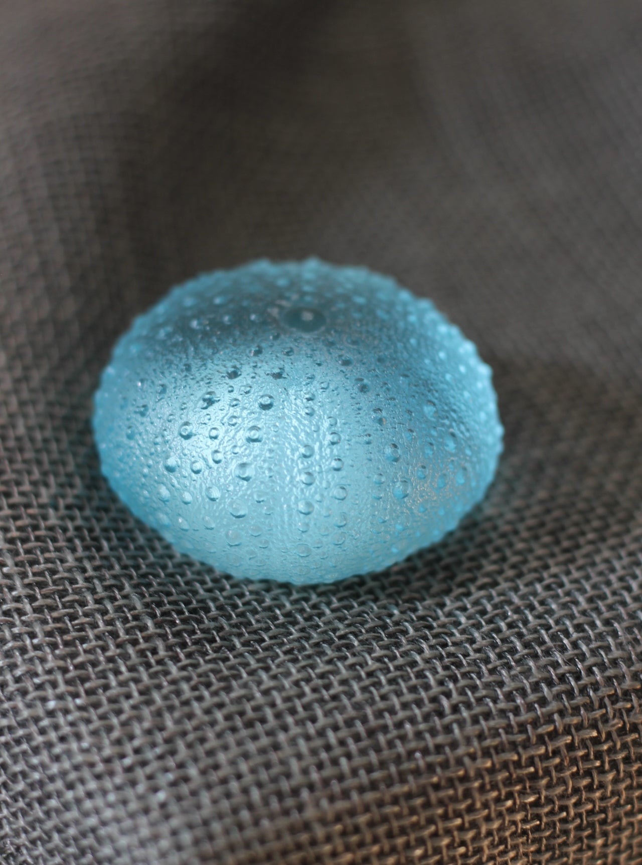 Sea Urchin (small) by Rebecca Heap-3