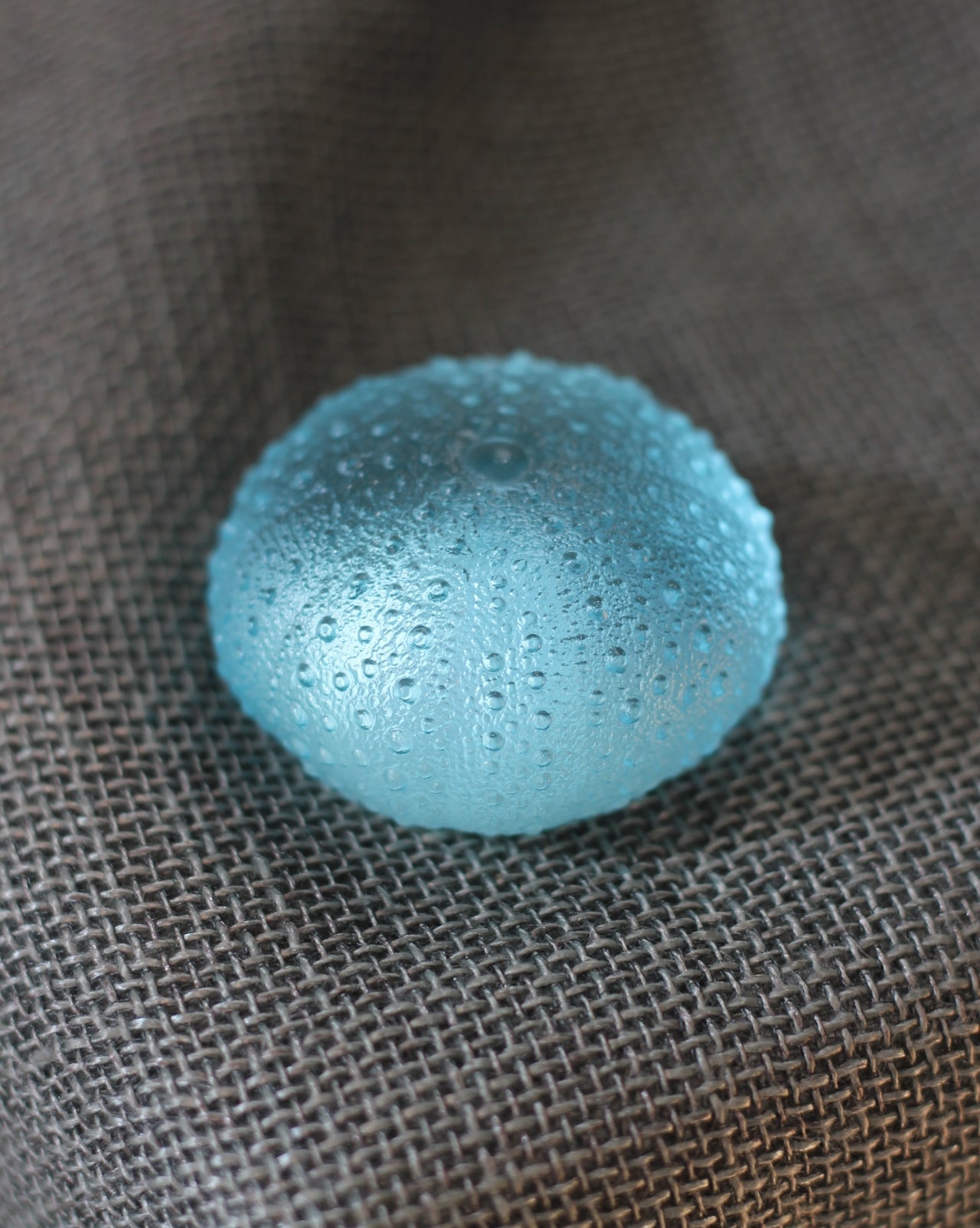 Sea Urchin (small) by Rebecca Heap