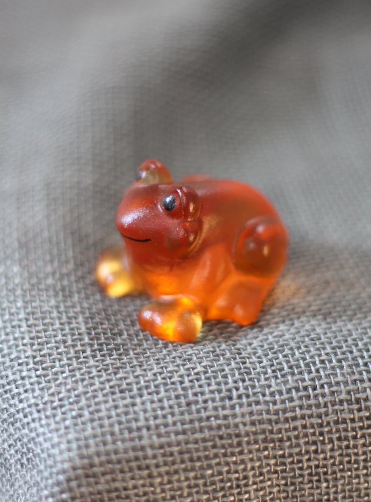 Glass Frog by Rebecca Heap-3