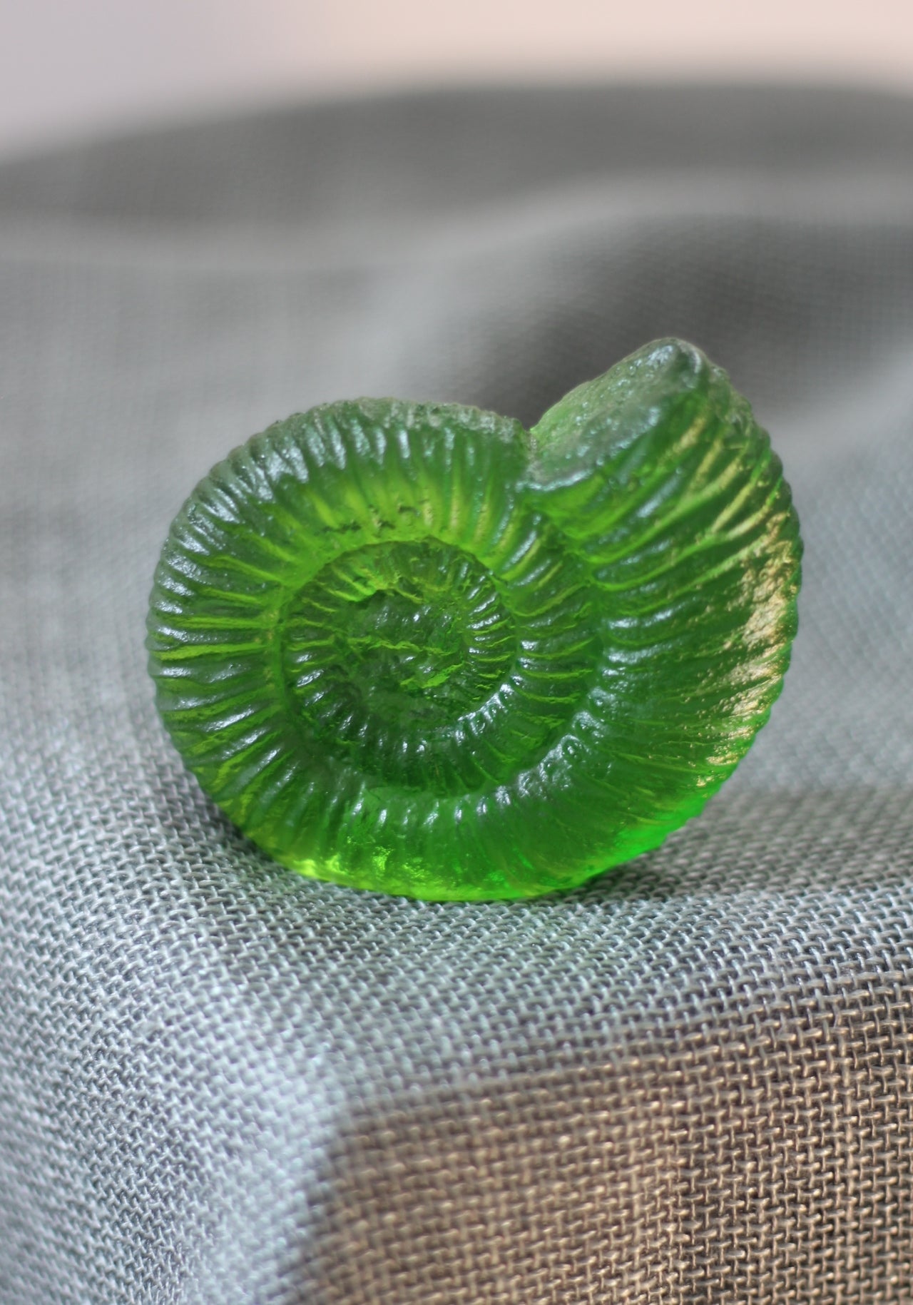 Ammonite by Rebecca Heap-3