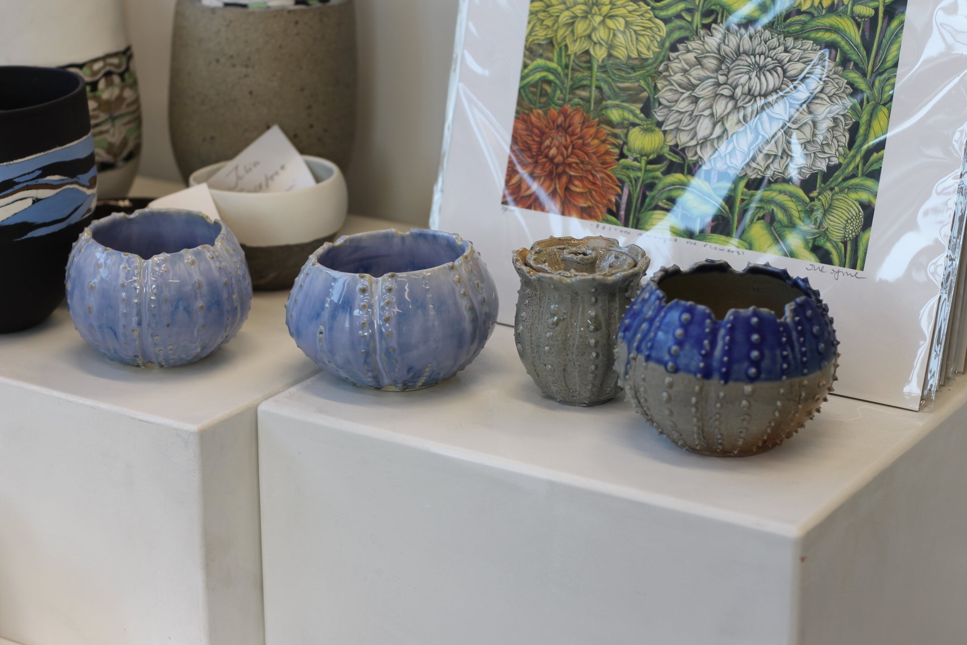 Urchins by Chloe Foster-5