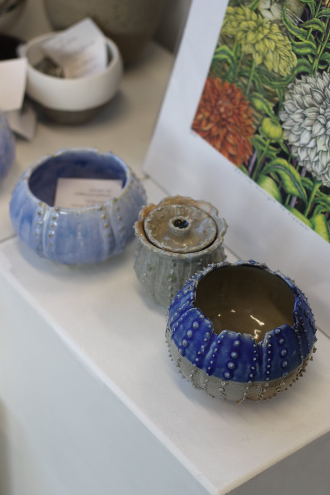 Urchins by Chloe Foster-2