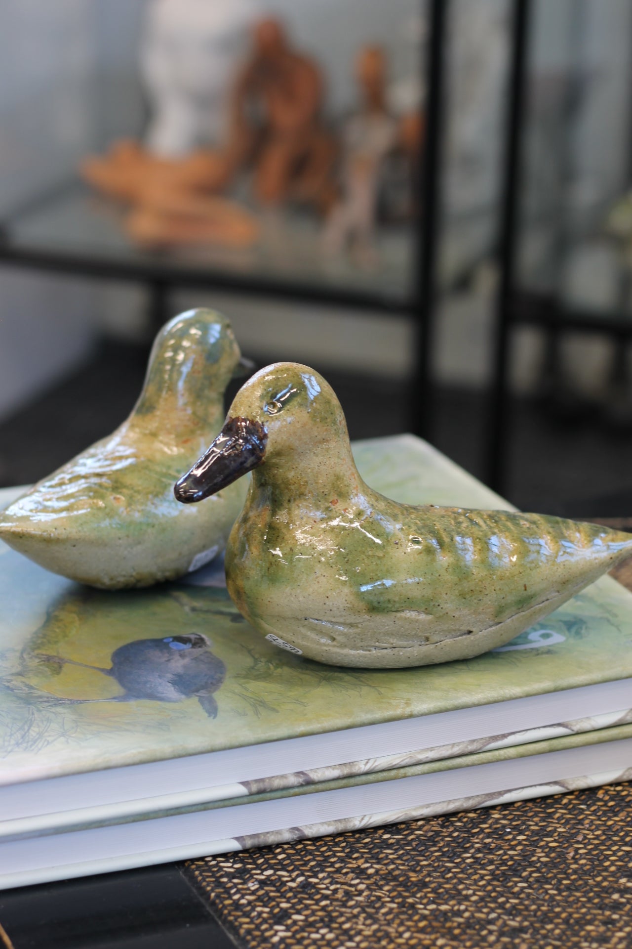 Ducks by Sophie Lankovsky-3