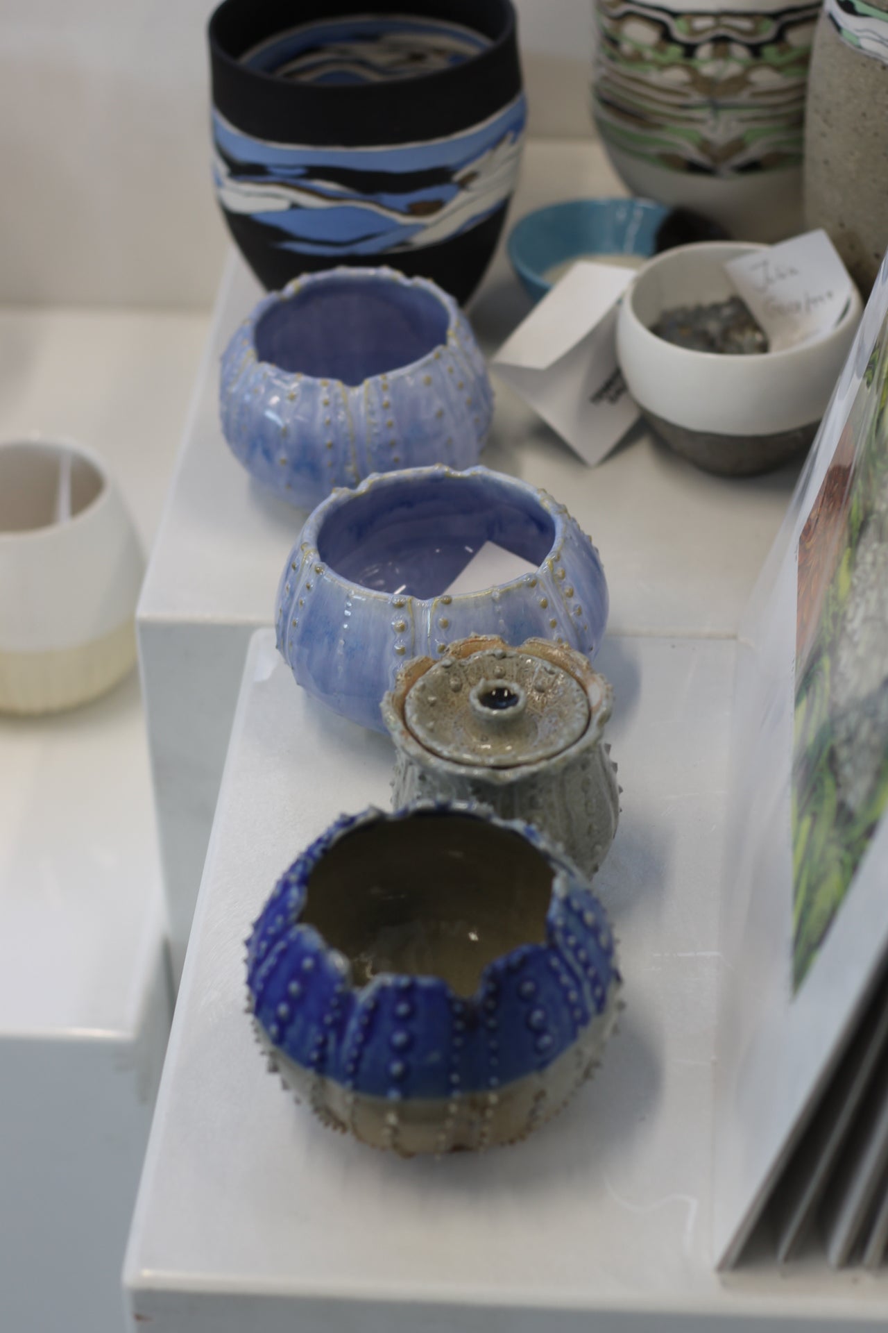 Urchins by Chloe Foster-6