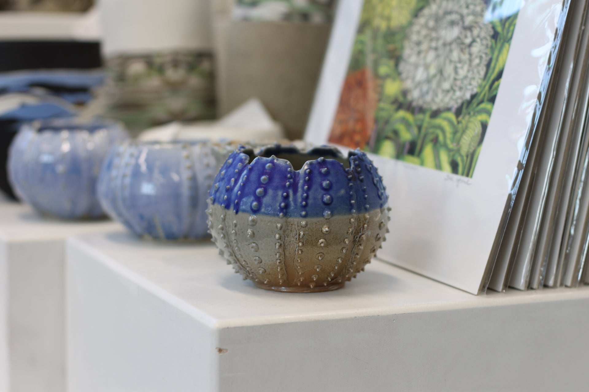 Urchins by Chloe Foster-3