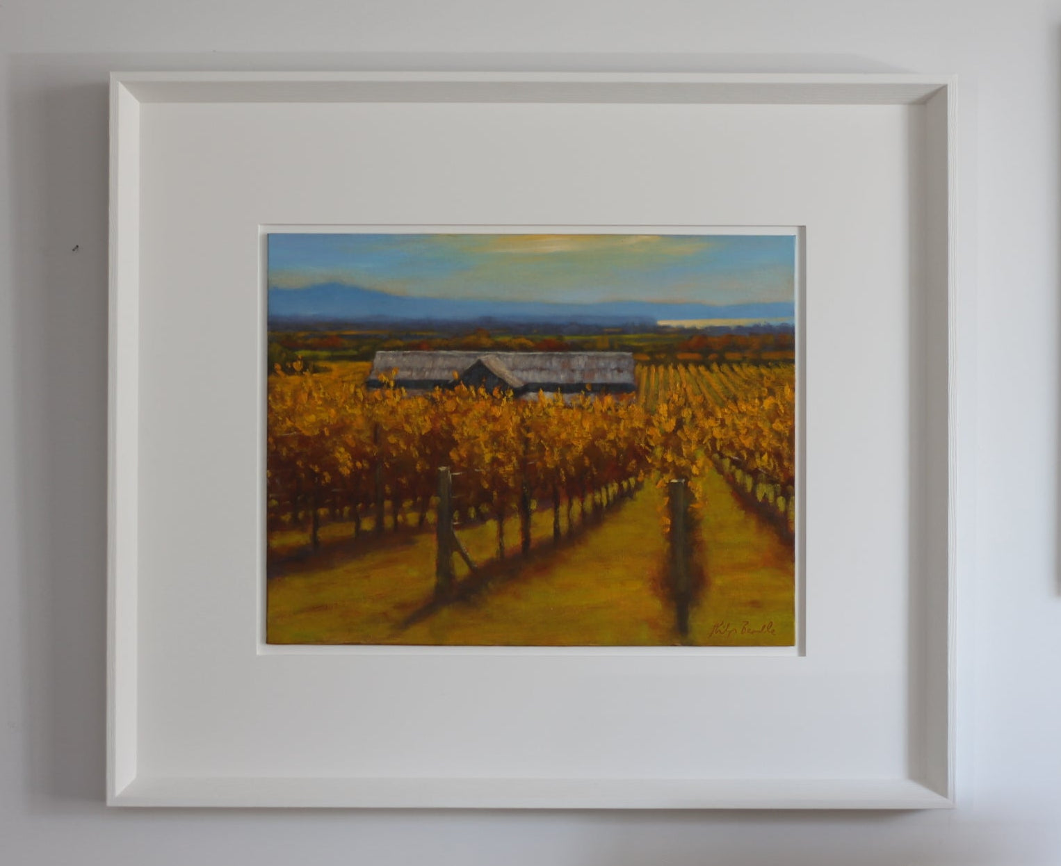 Towards Napier from Church Road Vineyard by Philip Beadle
