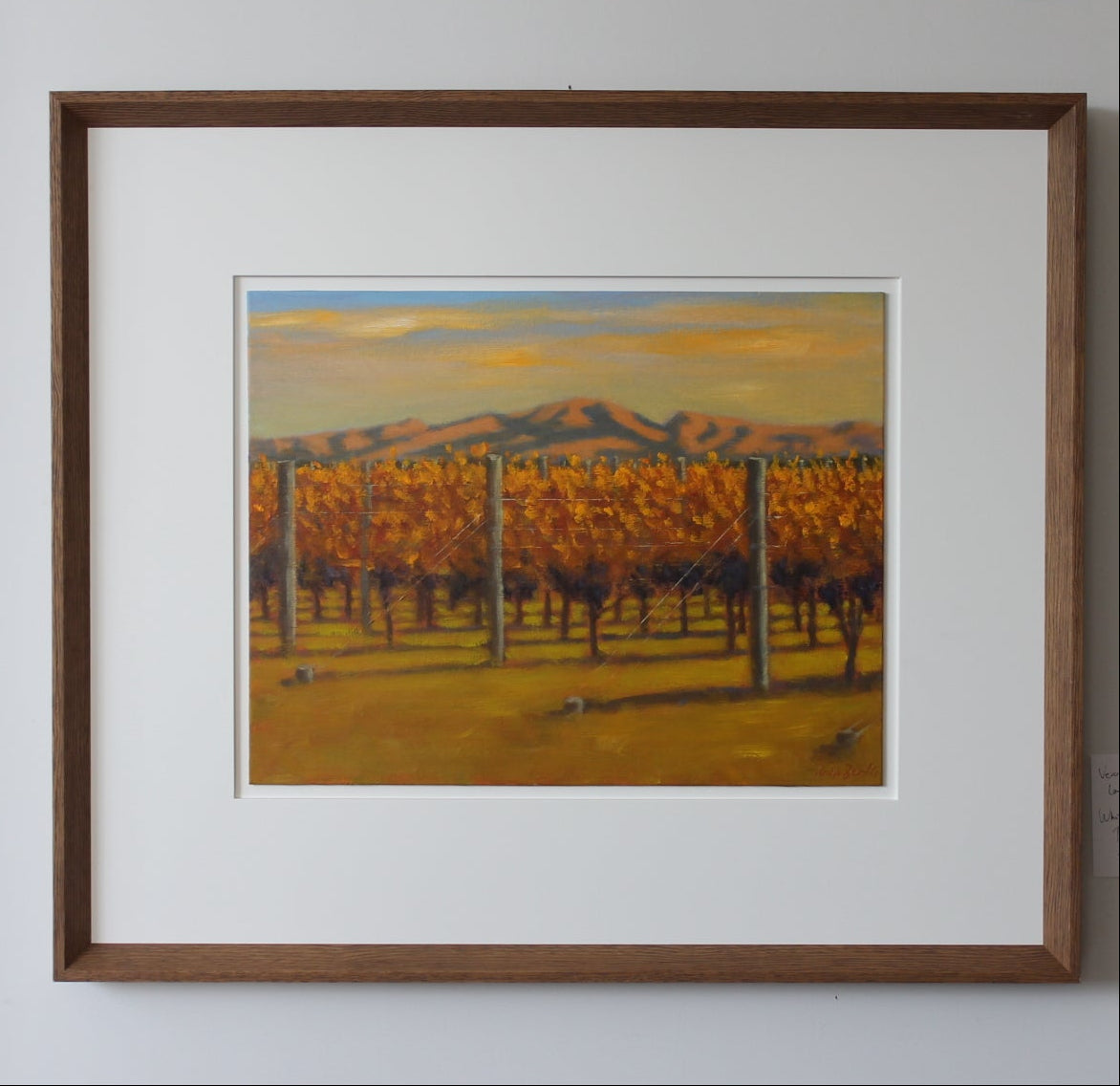 Te Mata Peak from Elephant Hill Vineyard by Philip Beadle