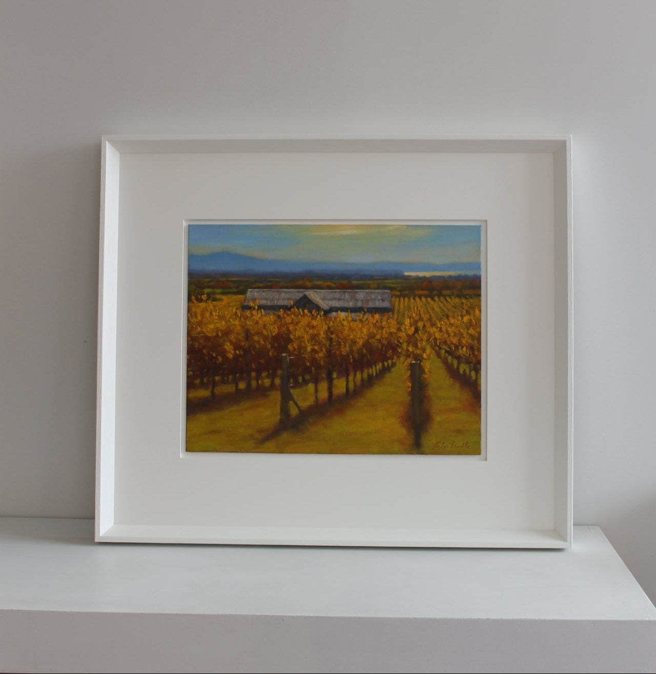 Towards Napier from Church Road Vineyard by Philip Beadle-2